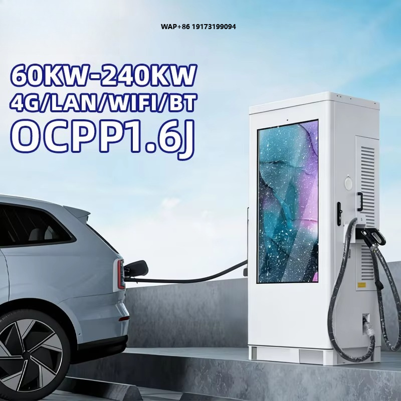 محطة شحن سيارات كهربائية مزدوج - مراجعة Fast Ev Charger وسعره